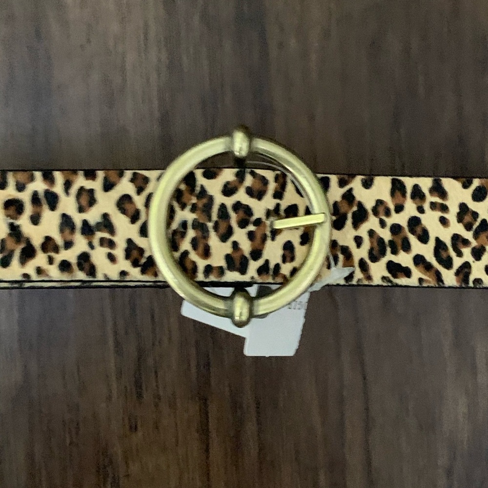 Anthropologie Lida belt - Picture 4 of 14